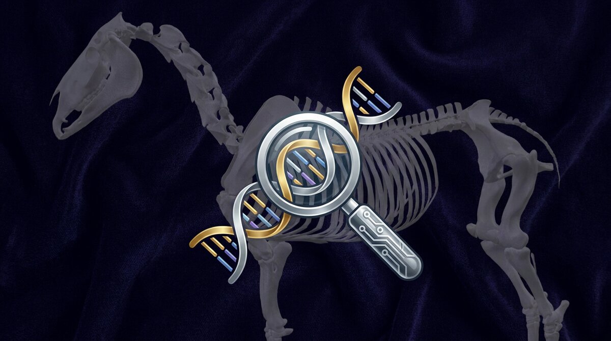 Equine Genetic Testing: What It Tells You