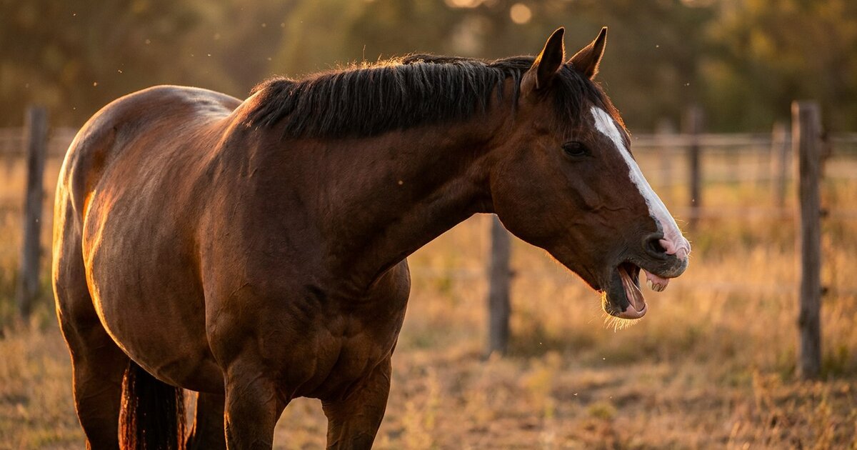 Heaves in Horses: Understanding Severe Equine Asthma and How to Manage It