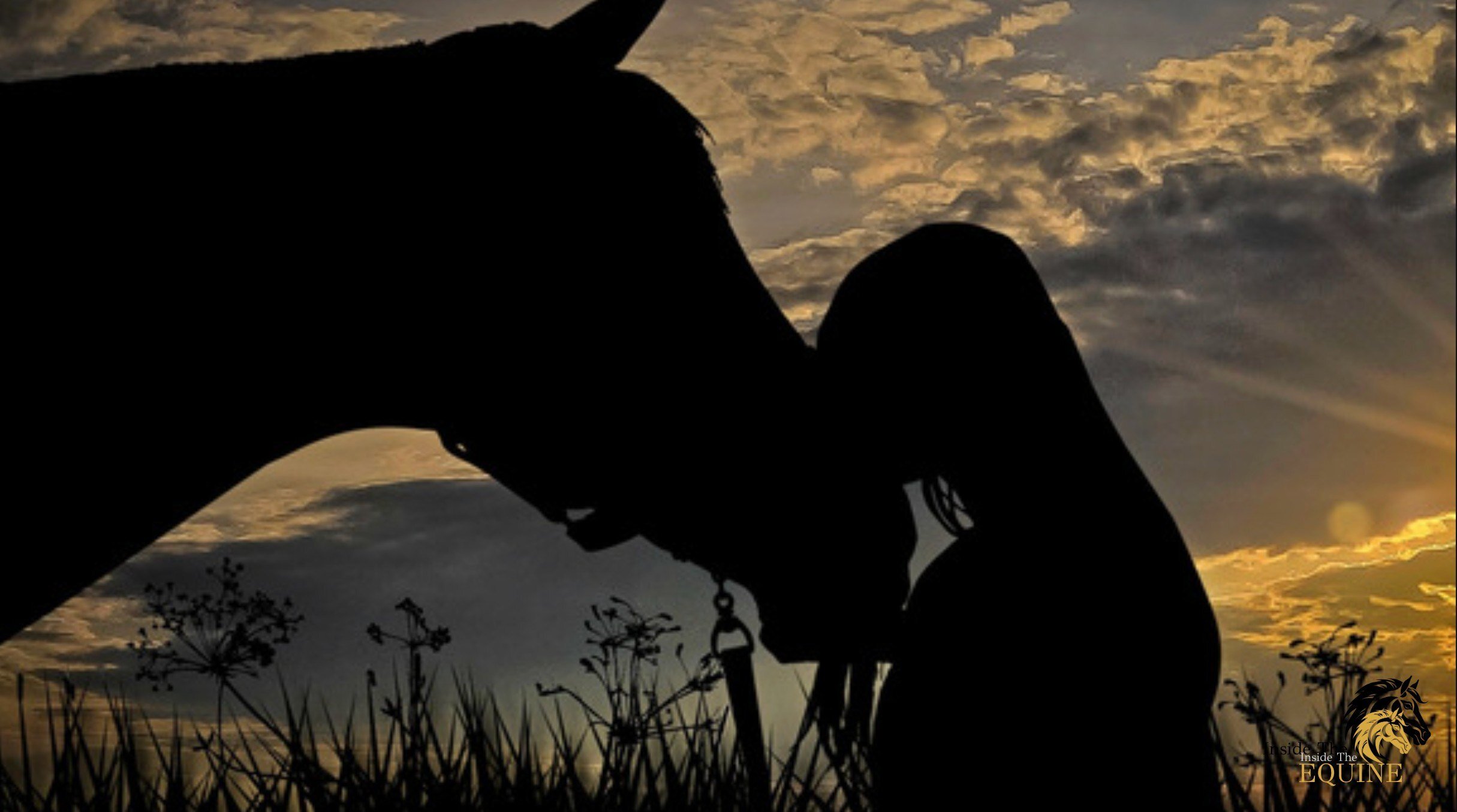 Horse and human silhouette at sunset - the bond between horse and rider
